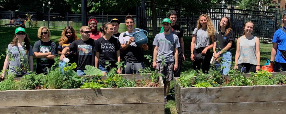 jardinage-communautaire-parcelles-potagers-autochtones