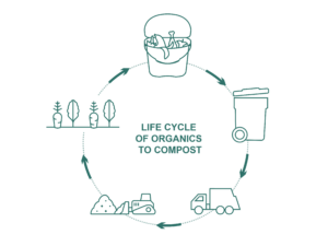 life-cycle-of-organics-to-compost