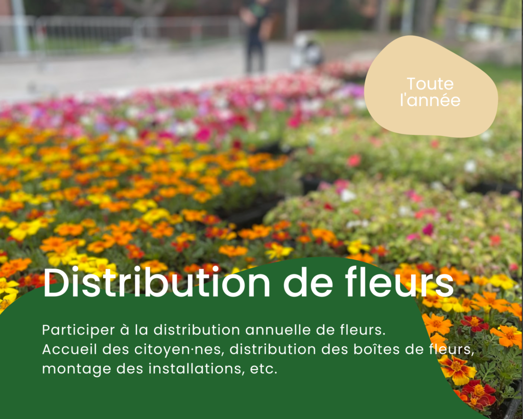 distribution de fleurs
