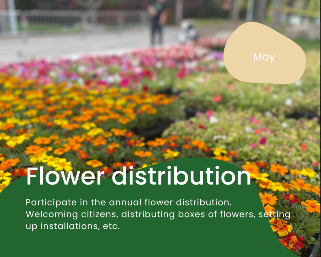 distribution de fleurs_en