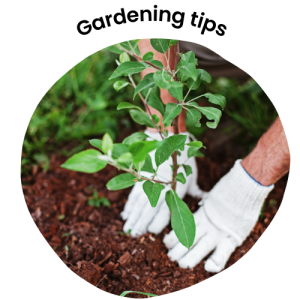 gardening tips toolbox